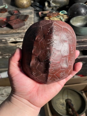 King Wen's Oracle Turtle Shells